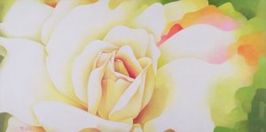The Rose, 1997 by Myung Bo Sim